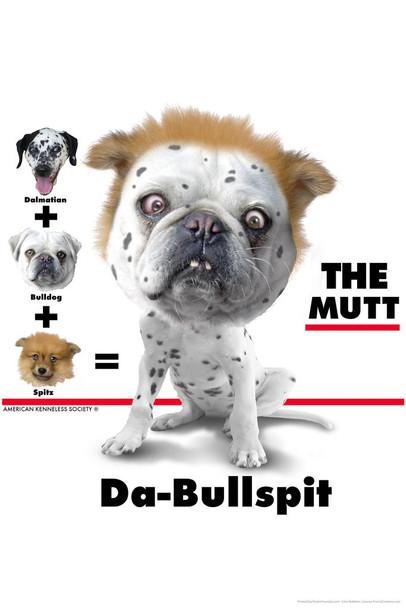 Da Bullspit The Mutt Funny Hybrid Dog Posters For Wall Funny Dog Wall Art Dog Wall Decor Dog Posters For Kids Bedroom Animal Wall Poster Cute Animal Posters Thick Paper Sign Print Picture 8x12