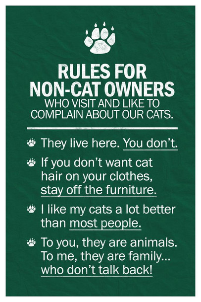 Cat Rules For Non Cat Owners Cat Poster Funny Wall Posters Kitten Posters for Wall Motivational Cat Poster Funny Cat Poster Inspirational Cat Poster Thick Paper Sign Print Picture 8x12
