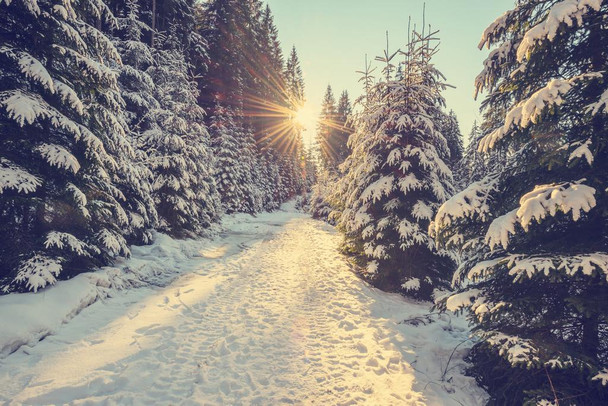 Sun Setting Snowy Mountain Trail Pine Trees Winter Christmas Sunset Photo Landscape Pictures Scenic Scenery Nature Photography Paradise Scenes Thick Paper Sign Print Picture 12x8