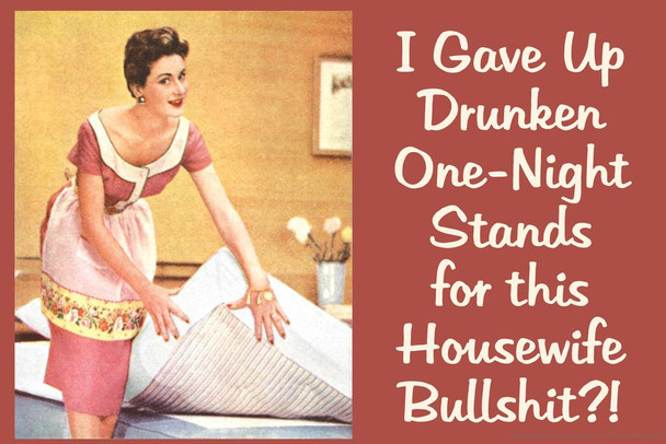 I Gave Up Drunken One Night Stands For This Housewife Bullsht Humor Thick Paper Sign Print Picture 12x8