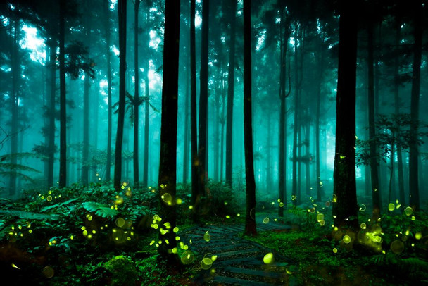 Fireflies Glowing Summer Forest At Night Landscape Photo Firefly Poster Insect Wall Art Glowing Posters Forest Poster Cool Poster Aesthetic Insect Art Thick Paper Sign Print Picture 12x8