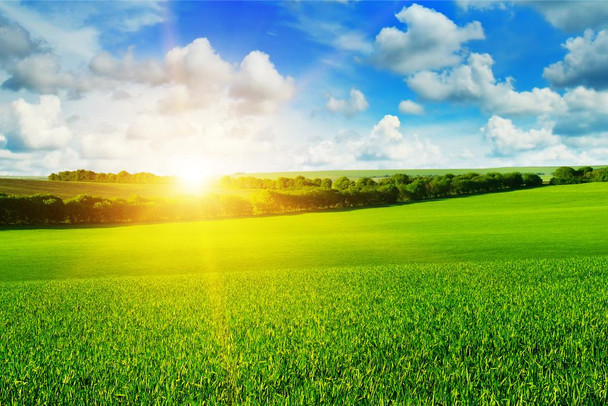 Farm Wheat Field Sunrise Bright Blue Sky Landscape Photo Thick Paper Sign Print Picture 12x8