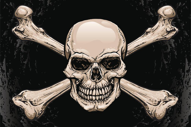 Skull Crossbones Pirates Symbol Warning Sign Poster Artistic Drawing Illustration Human Skeleton Death Thick Paper Sign Print Picture 12x8