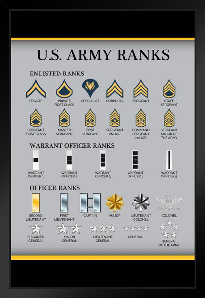 United States Army Rank Chart Reference Enlisted Officer NCO Guide American Military Uniform Support Troops Soldier Veterans Man Cave Matted Framed Art Wall Decor 20x26