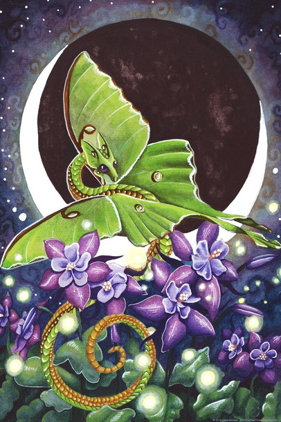 Laminated Luna Lights Dragon Green Moth by Carla Morrow Fantasy Poster Dry Erase Wall Art 24x36