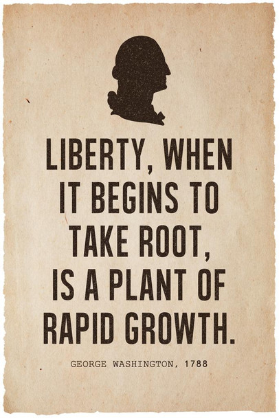 Laminated President George Washington Liberty Famous Motivational Inspirational Quote Silhouette Poster Dry Erase Sign 24x36