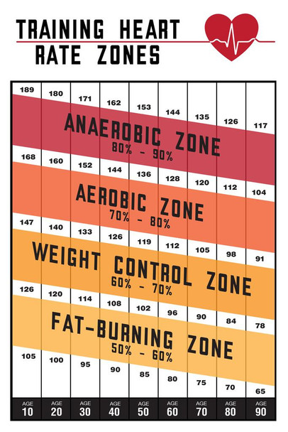 Laminated Training Heart Rate Zones Workout Gym Fitness Aerobic White Cardio Heartbeat Running Exercise Poster Dry Erase Sign 24x36