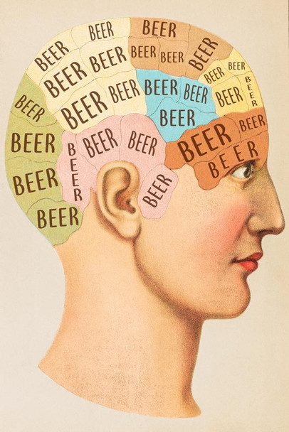 Laminated Beer Phrenology Head Funny Drinking Poster Dry Erase Sign 24x36