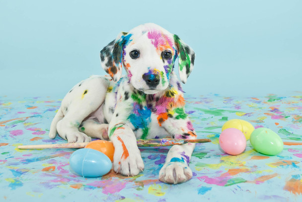 Easter Dalmatain Puppy Photo Puppy Posters For Wall Funny Dog Wall Art Dog Wall Decor Puppy Posters For Kids Bedroom Animal Wall Poster Cute Animal Posters