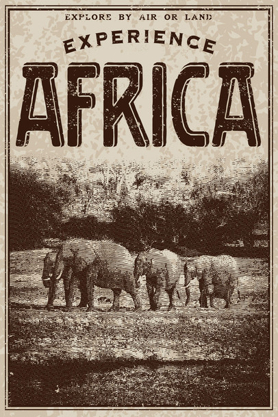 Vintage Victorian Style Experience Africa Advertisement Cool Wall Decor Art Print Poster 12x18