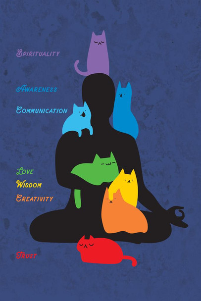 Laminated Cat Chakras Funny Cute Cat Poster Funny Wall Posters Kitten Posters for Wall Motivational Cat Poster Funny Cat Poster Inspirational Cat Poster Poster Dry Erase Sign 24x36