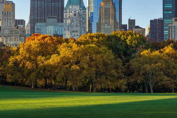 Laminated Central Park Sheep Meadow Skyscrapers Autumn New York City Photo Poster Dry Erase Wall Art 24x36