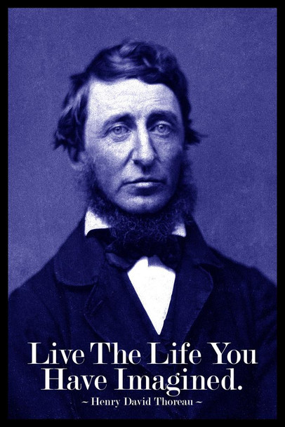 Laminated Henry David Thoreau Live The Life You Have Imagined Blue Poster Dry Erase Sign 24x36