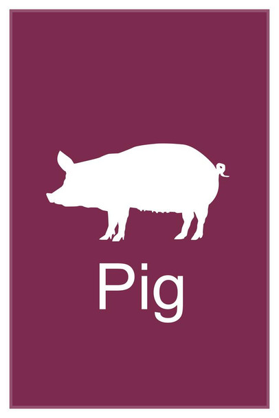 Laminated Farm Animals Pig Silhouette Classroom Learning Aids Barnyard Farming Purple Poster Dry Erase Sign 24x36