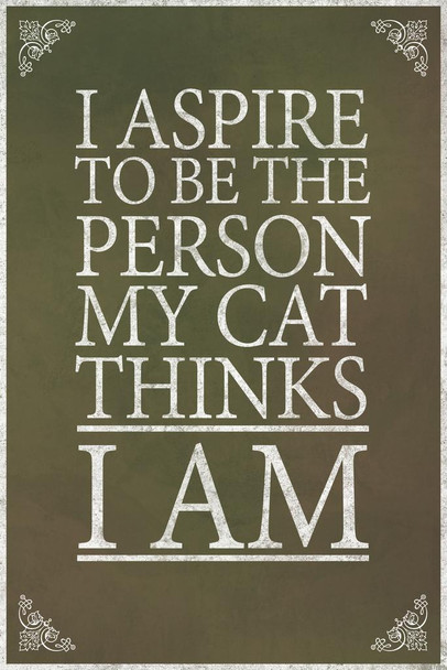Laminated I Aspire To Be The Person My Cat Thinks I Am Brown Poster Dry Erase Sign 24x36