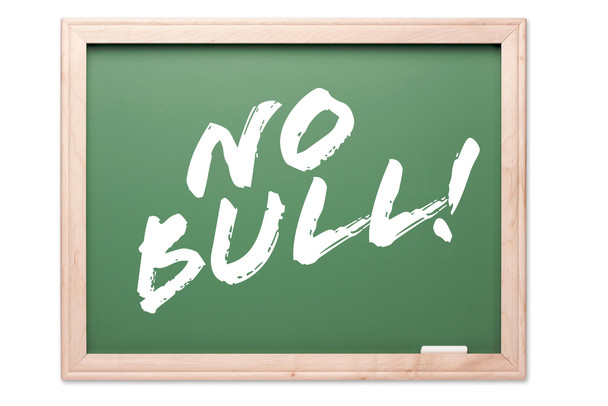 No Bull Motivational Chalkboard Classroom Cool Wall Art Print Poster 18x12