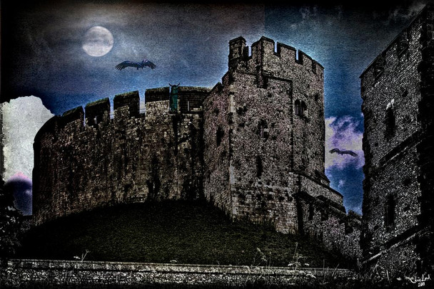 Laminated Moonlight Watch by Chris Lord Photo Photograph Poster Dry Erase Wall Art 24x36