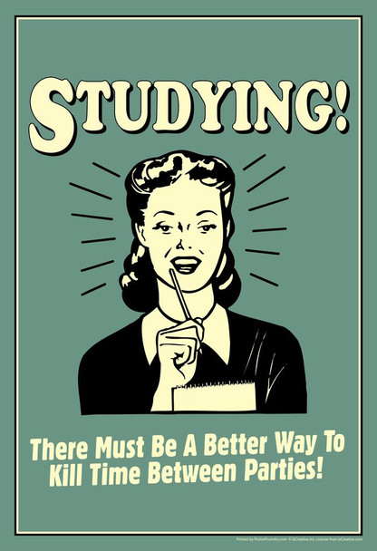 Laminated Studying! Must Be A Better Way To Kill Time Between Parties! Retro Humor Poster Dry Erase Wall Art 24x36