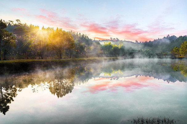 Laminated Ban Wat Chan Pine Forest Chiang Mai Thailand Photo Photograph Poster Dry Erase Wall Art 36x24