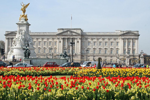 Laminated Tulips in front of Buckingham Palace and Victoria Memorial London UK Photo Photograph Poster Dry Erase Sign 36x24