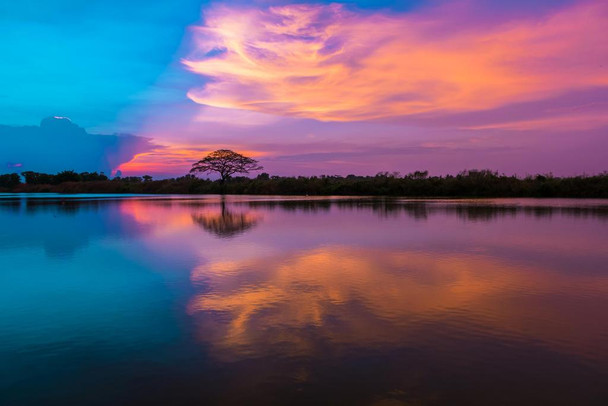 Laminated Silhouette of Tree on River Against Sky During Sunset Photo Photograph Poster Dry Erase Wall Art 36x24