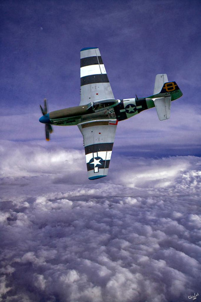 Laminated Mustang On Patrol by Chris Lord Airplane Aircraft Fighter Jet Photo Photograph Poster Dry Erase Sign 24x36