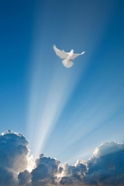 Laminated Flying Dove and Clouds Spiritual Poster Dry Erase Sign 24x36