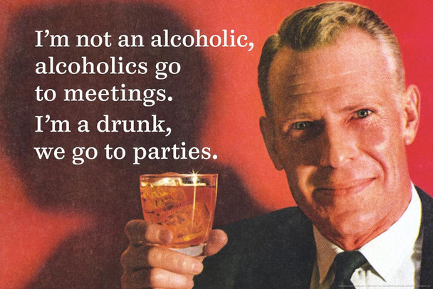 Laminated Not An Alcoholic They Go To Meetings Im a Drunk We Go To Parties Funny Cool Wall Art Poster Dry Erase Sign 24x36