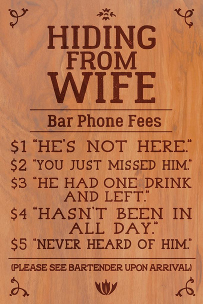 Laminated Hiding From Wife Bar Phone Fees Funny Cool Wall Art Poster Dry Erase Sign 24x36