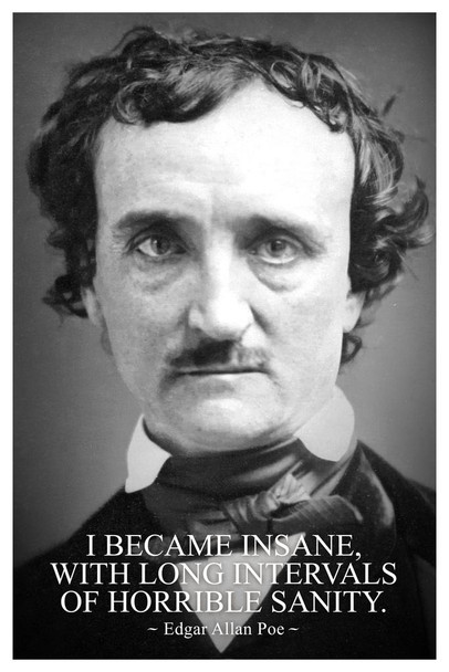 Laminated I Became Insane With Intervals of Horrible Sanity Edgar Allan Poe Poster Dry Erase Sign 24x36