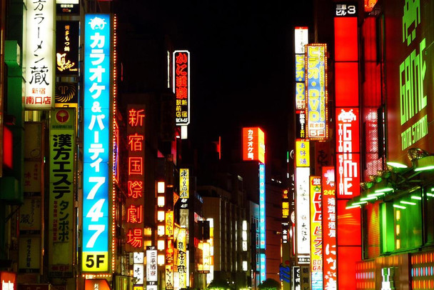 Laminated Neon Signs in Shinjuku Ward Tokyo Japan Photo Art Print Poster Dry Erase Sign 36x24