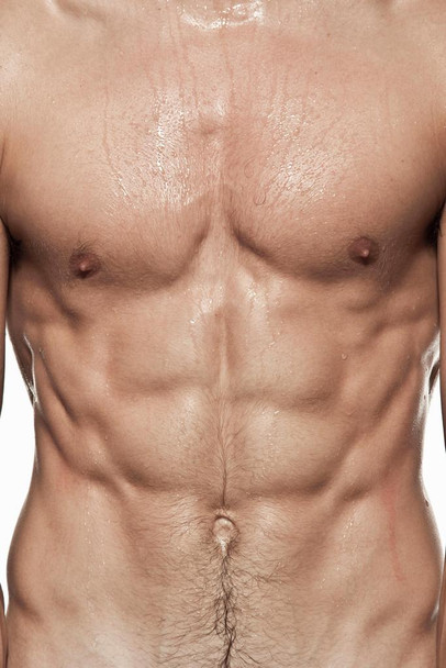 Laminated Hot Guys Naked Torso Six Pack Photo Photograph Poster Dry Erase Wall Art 24x36