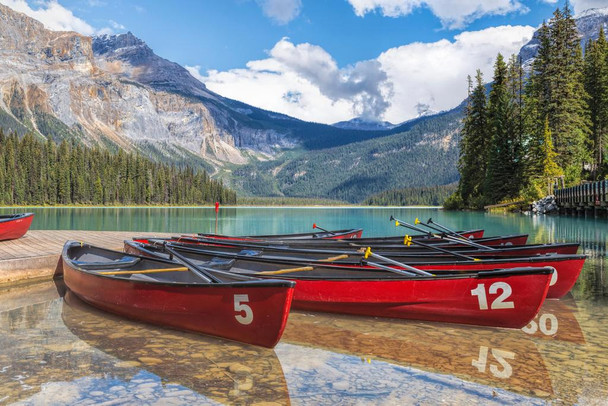 Laminated Emerald Lake Yoho National Park Canada Photo Art Print Poster Dry Erase Wall Art 36x24
