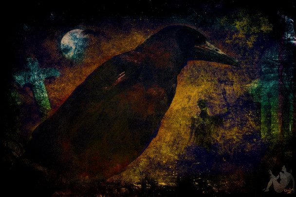 Laminated Tribute to Mr Poe by Chris Lord Photo Raven Edgar Allen Poe Poem Bird Pictures Wall Decor Beautiful Art Wall Decor Feather Prints Wall Art Dark Bird Prints Poster Dry Erase Wall Art 24x36