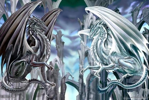 Laminated Checkmate Dragons Black White Dragon Pair by Ruth Thompson Fantasy Poster Dry Erase Wall Art 36x24