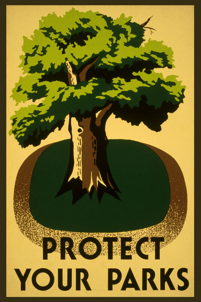 Protect Your Parks Retro Vintage WPA Art Project Cool Wall Art Print Poster 12x18