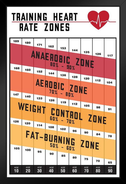 Training Heart Rate Zones Workout Gym Fitness Aerobic White Cardio Heartbeat Running Exercise Black Wood Framed Art Poster 14x20