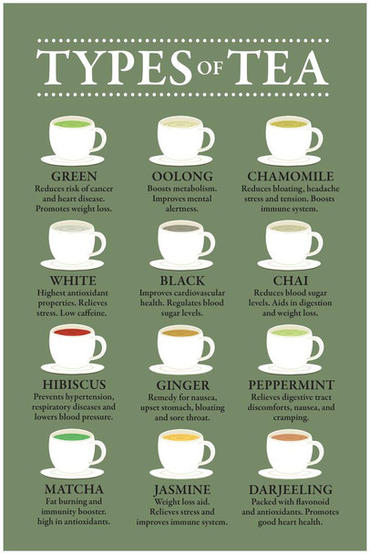 Tea Drink Types Chart Poster Health Benefits Diagram Varieties Infographic Like Coffee Drinking Kitchen Cafe Decoration Green Color Cool Wall Decor Art Print Poster 24x36