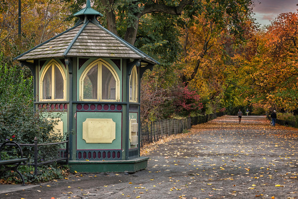 Central Park Manhattan New York City in Autumn Photo Photograph Cool Wall Decor Art Print Poster 18x12