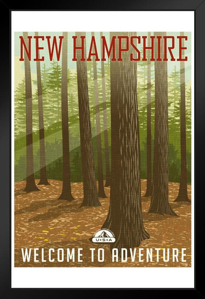New Hampshire Forest Welcome To Adventure Retro Travel Black Wood Framed Art Poster 14x20