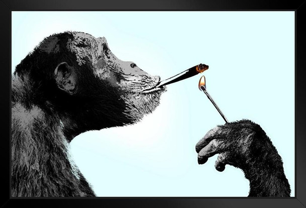 Monkey Smoking A Joint With a Match Funny Pop Art Marijuana Weed 420 Pot Dorm Room Urban Graffiti Cannabis Dope Gift Guys Propaganda Stoner Reefer Bored Ape NFT Black Wood Framed Art Poster 14x20