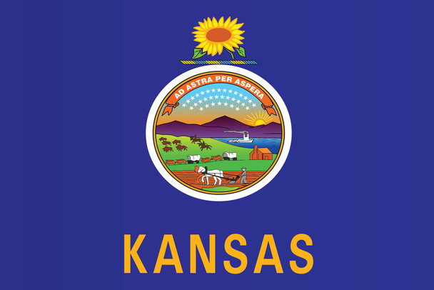 Kansas State Flag Seal Poster Topeka Kansas City Sunflower State Flag Education Patriotic American Flag Cool Wall Decor Art Print Poster 18x12