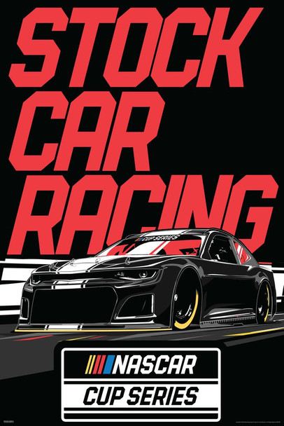 Laminated NASCAR Cup Series Stock Car Racing Race Cars Flags Daytona Speedway Poster Dry Erase Sign 24x36