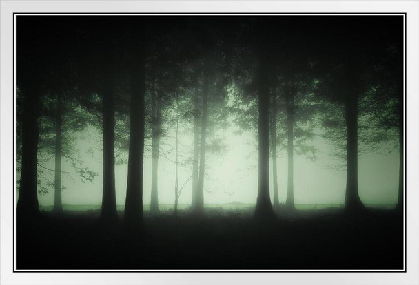 Dark Foggy Spooky Forest Dusk Trees Photo Poster Spooky Scary Halloween Decorations Moonlight White Wood Framed Art Poster 20x14