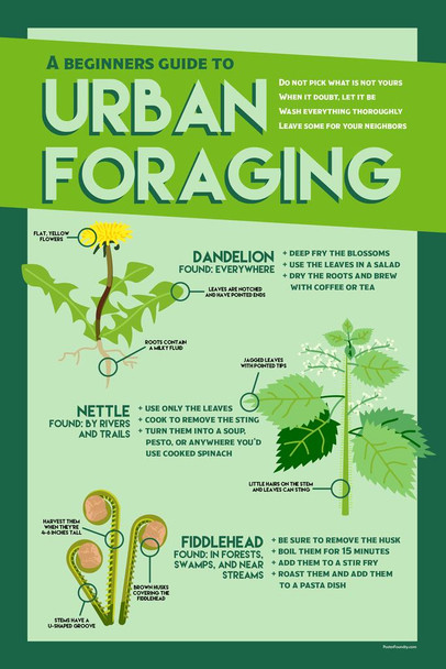Laminated Urban Foraging Beginners Guide Edible Wild Plants Cooking Organic Leaves Nature Gardening Farming Survival Poster Dry Erase Sign 12x18