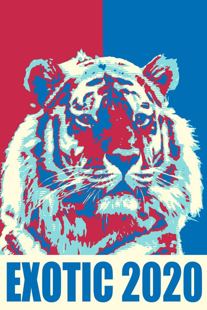 Exotic 2020 Campaign For President Election Tiger Funny Hope Parody Meme Cool Wall Decor Art Print Poster 24x36