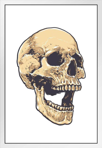 Grunge Skull Anatomical Artistic Drawing White Wood Framed Poster 14x20