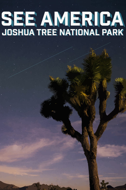 Joshua Tree National Park by Daniel Gross Creative Action Network See America National Parks Travel Retro Vintage Style Cool Wall Decor Art Print Poster 12x18