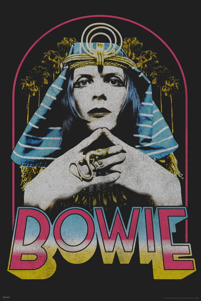 David Bowie as The Sphinx 1969 Retro Vintage Glam Rock Music Cool Wall Decor Art Print Poster 12x18