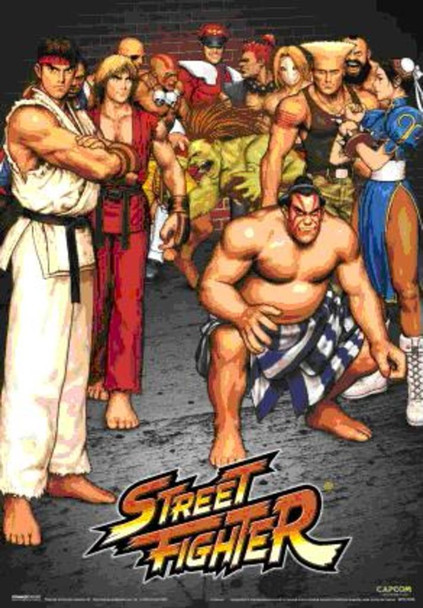 Street Fighter Lenticular 3D Poster 11x17 inch